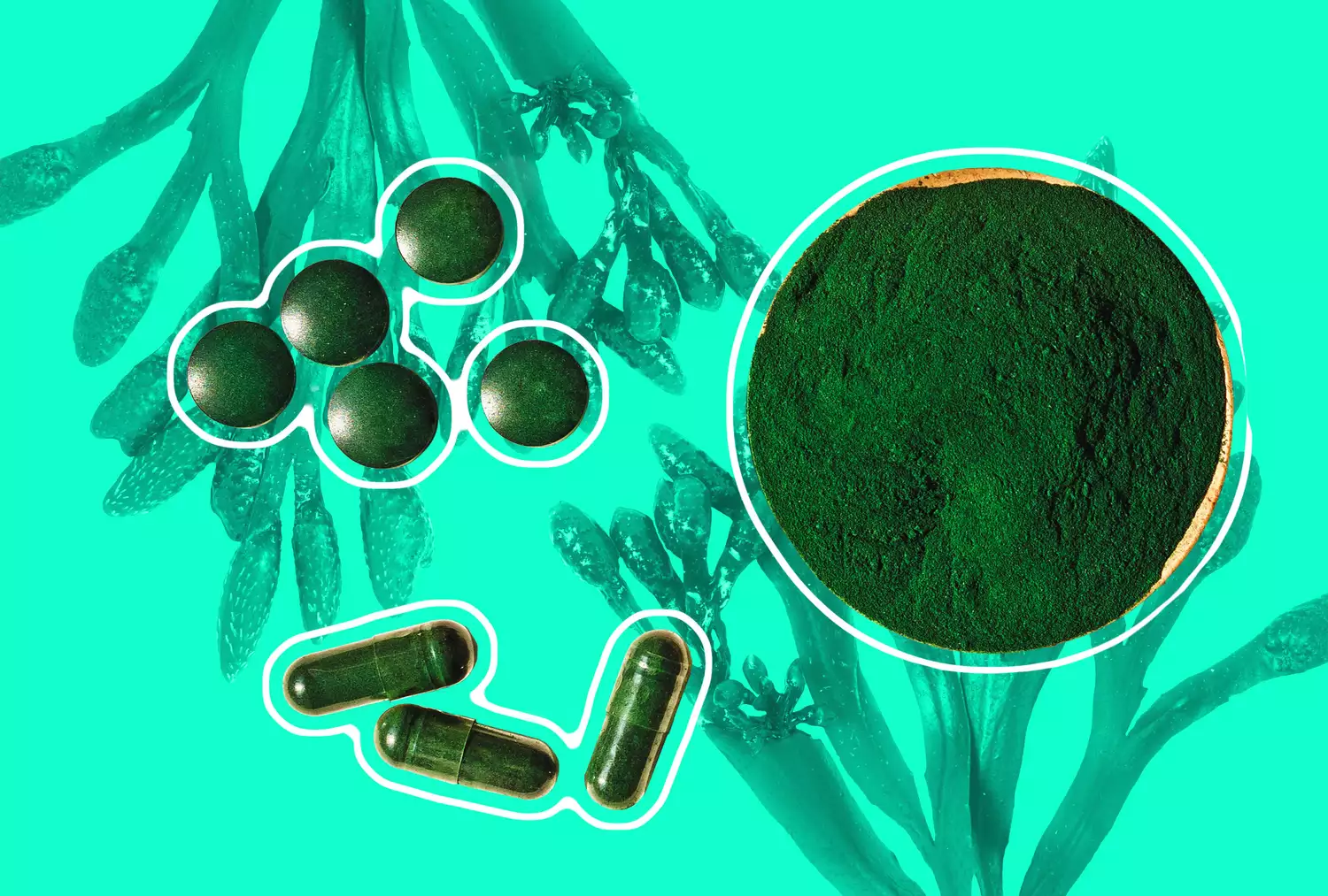 The Benefits of Seaweed Supplements: A Nutrient-Rich Addition For Your Wellness Routine