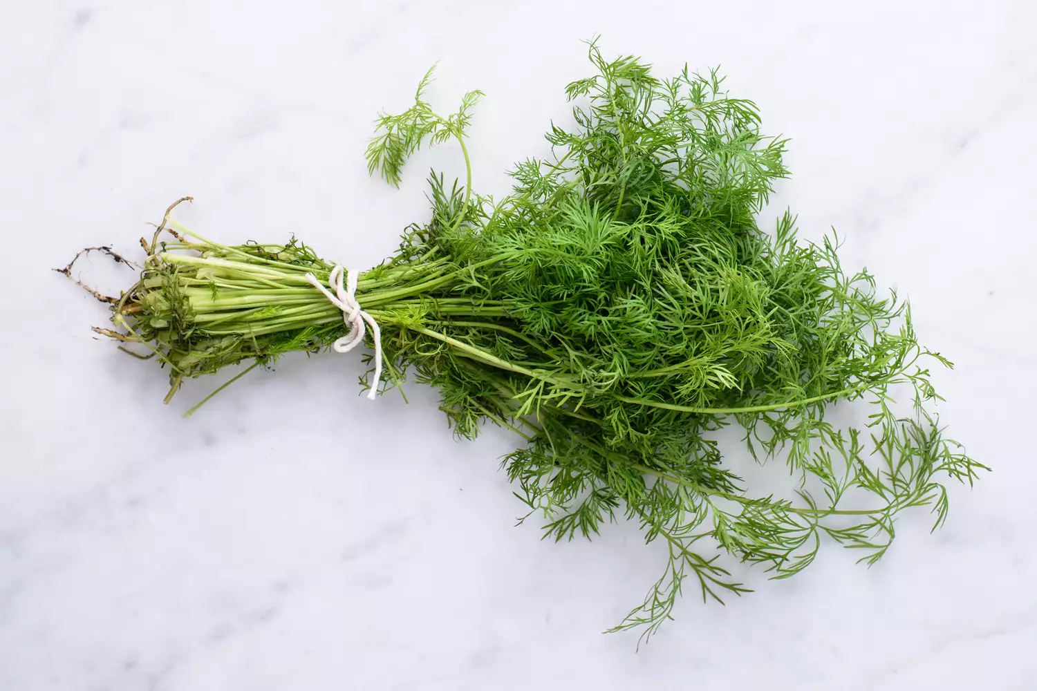 The Health Benefits of Dill
