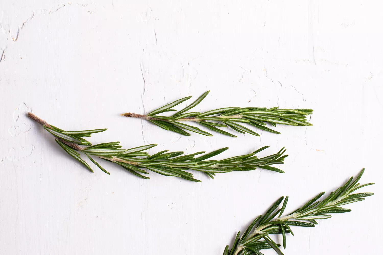 The Health Benefits of Rosemary